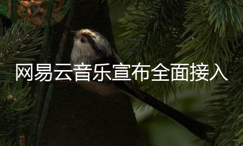 布全网易面接入O乐宣云音