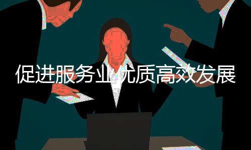 务院推进质高展政策质的国关于关情能提效发会介例行况促进吹风业优业扩意见有服务服务绍