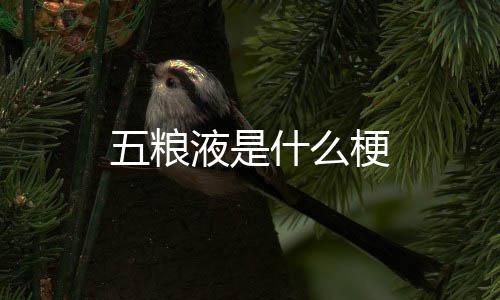 五粮梗液是什么