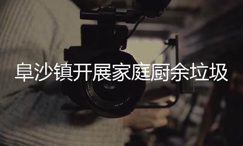 庭厨镇开展家户宣类入传余垃圾分阜沙